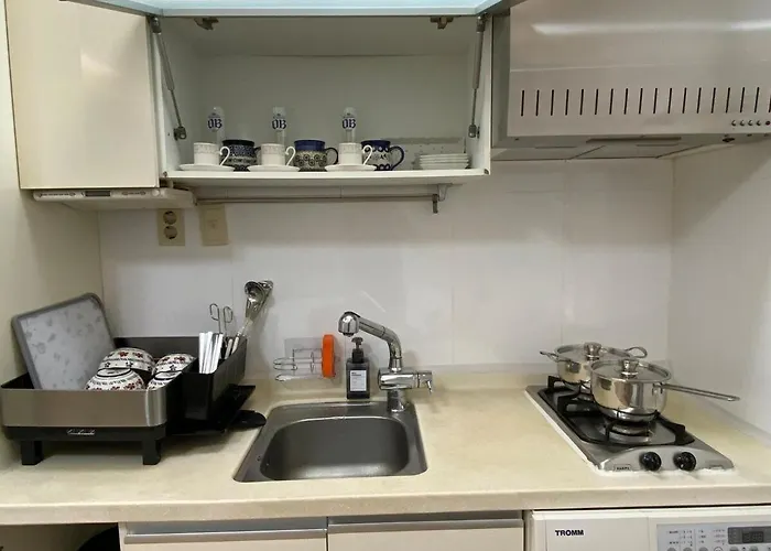 Gangnam Stn 1min #clean Cozy #business Trip #plastic Surgery #easy Access To Transportation Seul